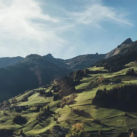 ホテル Nesslerhof グロースアルル